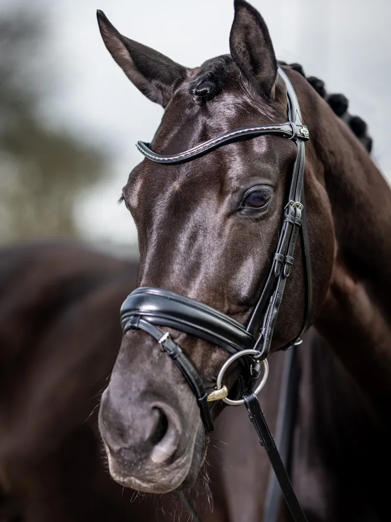 LeMieux Classic Dressage Bridle - Black-2
